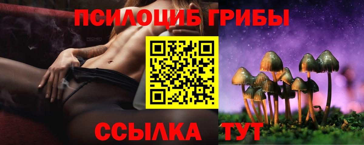 Чусовой  Псилоцибиновые грибы GOLDEN TEACHER  Вход с VPN 